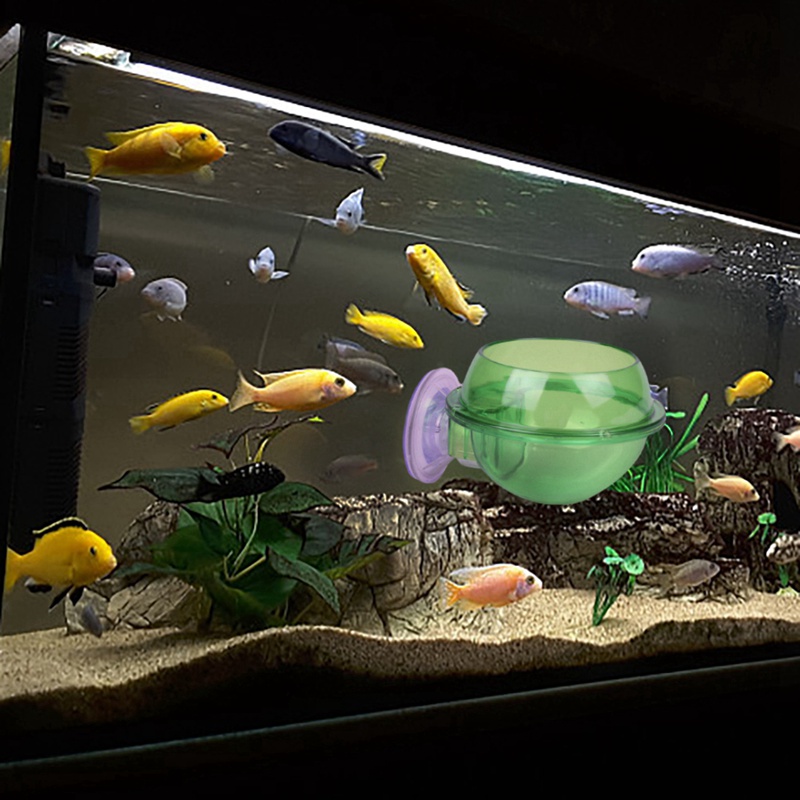

Decoration Ornament Home Decor Aquatic Plant Pot Cup Plastic Crystal Green Holder Suction Underwater Cups Aquarium Fish Tank