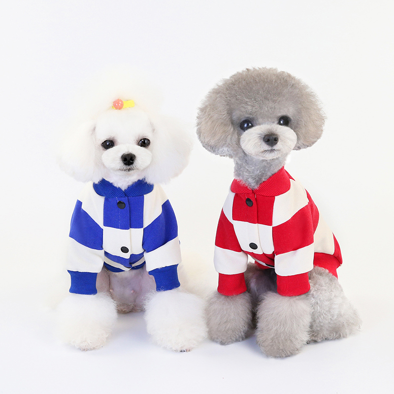 chihuahua sweaters
