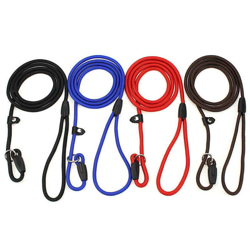 

Pet Dog Nylon Adjustable Collar Training Loop Slip Leashes Rope Lead Size S M L Red Blue Black Coffee Color