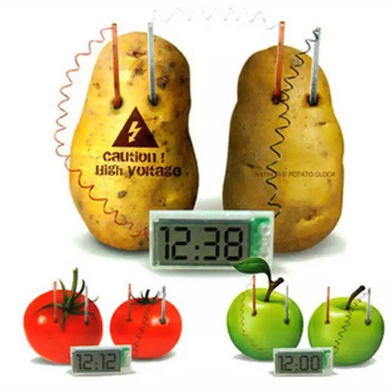 

Kid Creative Educational Toy Potato Clock Environmental Protection DIY Technology Small Production Physical Experiment Equipment