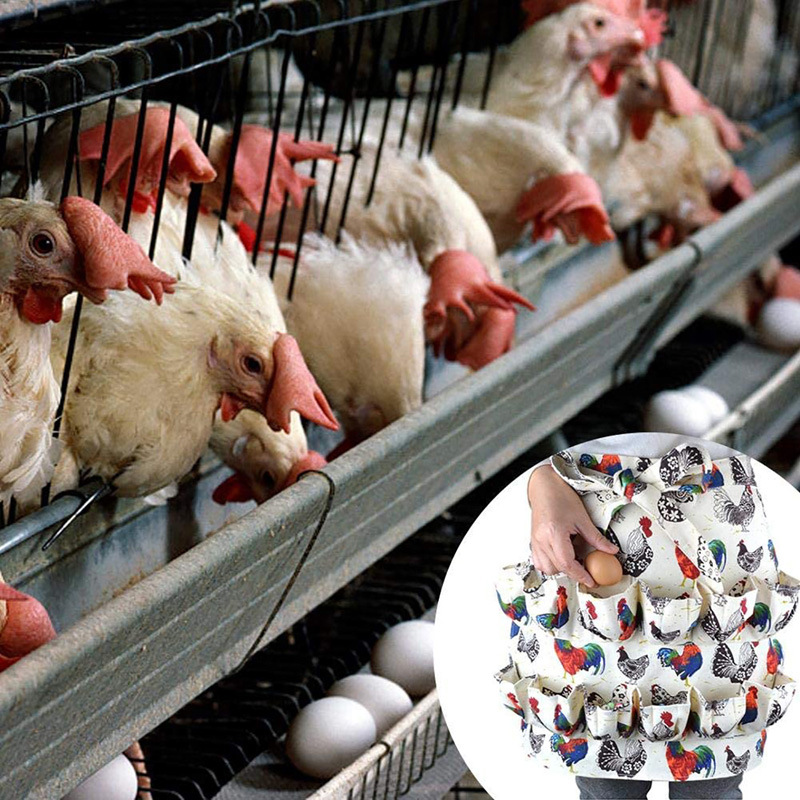 

The Eggs Collecting Apron With Several Pockets for Chickens Duck Gooses Eggs Housewives Farmhouse Kitchen Home Workwear 889