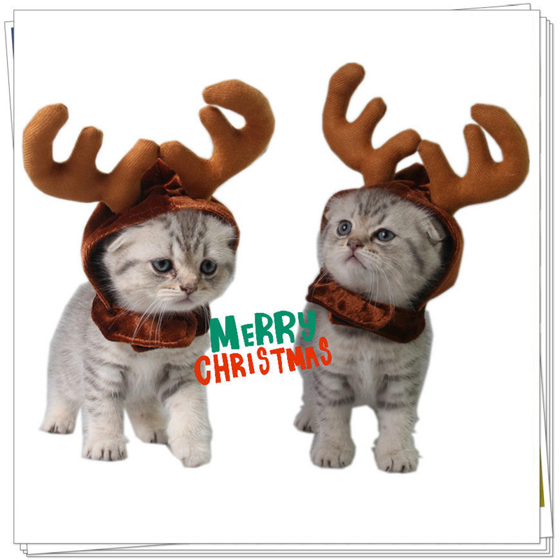 

Pet Cat Dog Merry Christmas Cap Hat Puppy Teddy Kitten Christmas Reindeer Costume Xmas Elk Reindeer Antlers Headwear Headband