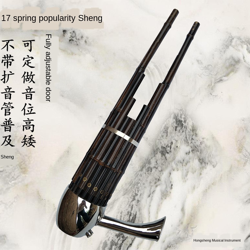 17 Spring Cegd Tune National Musical Instrument Sheng Professional Adult Children Beginner-image-575910421