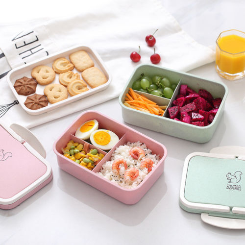 

Bento Lunch Box for Kids Adult Container Tableware 1000ML Double Layer