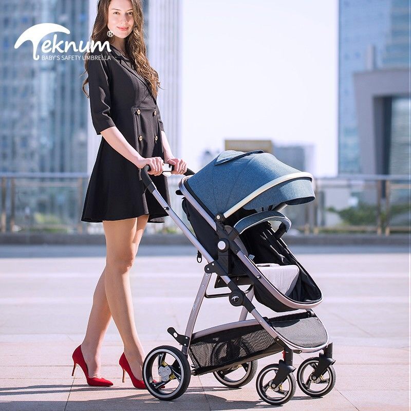 

TEKNUM baby trolley high landscape trolley baby can sit and lie two-way absorber folding winter and summer BB portable new