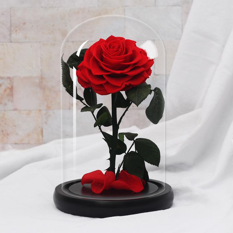 

Red Rose In A Glass Dome On Rose Living Room Bedroom Table Decorations Valentines Day Gifts Birthday Gifts, Black