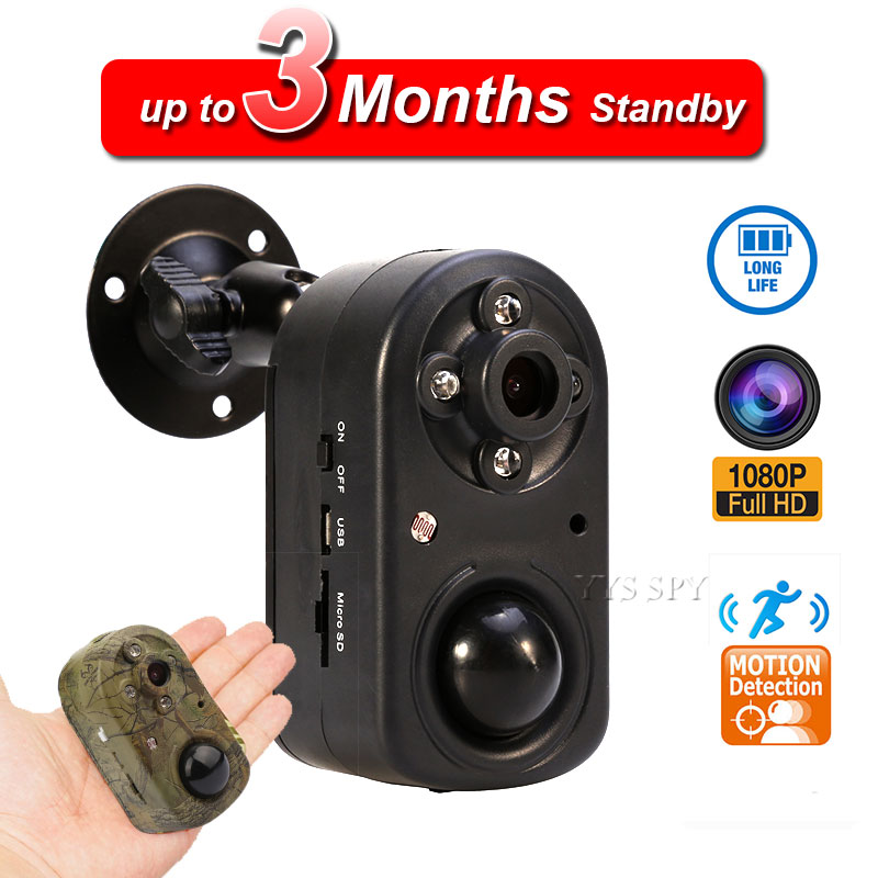 

PIR Motion Sensor Hunting Trail Security Wildlife Mini Camera 42pcs Infrared Night Vision Sport Surveillance Recorder Camcorder