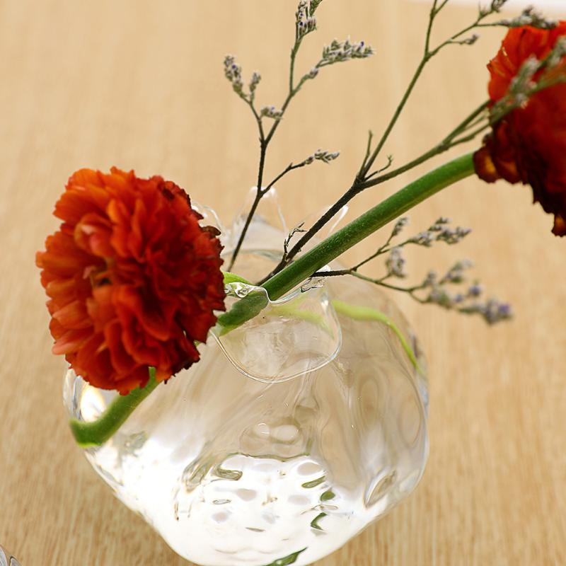 

1pc High Borosilicate Glass Flower Pot Flower Container Pomegranate Shape Design Vase Desktop Decorative Vase for Home (T