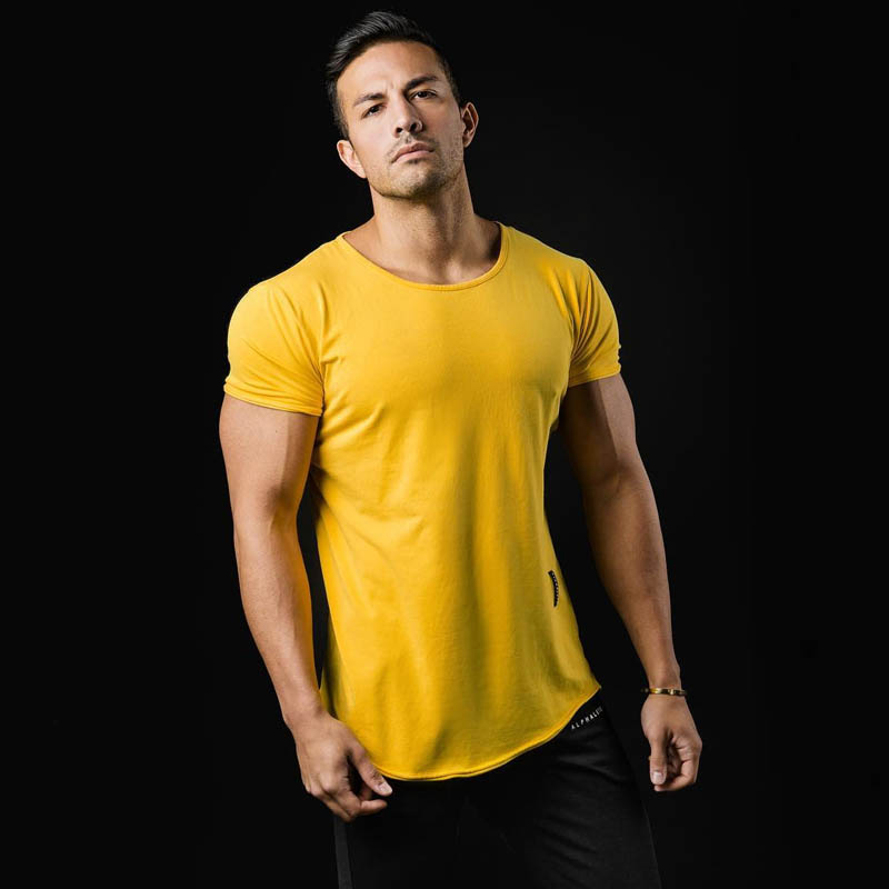 

2020 New ALPHALETE Men Running T-shirts Gyms Tight Fitness Mens Short Sleeve T-shirts Tops Man Spring Streetwear O-Neck Tees, White