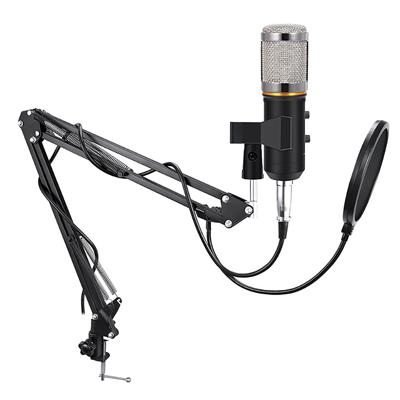 

F200TL Reverberation Microphone Set 360° Universal Cantilever Bracket Anchor Live K Song Condenser Microphone Set