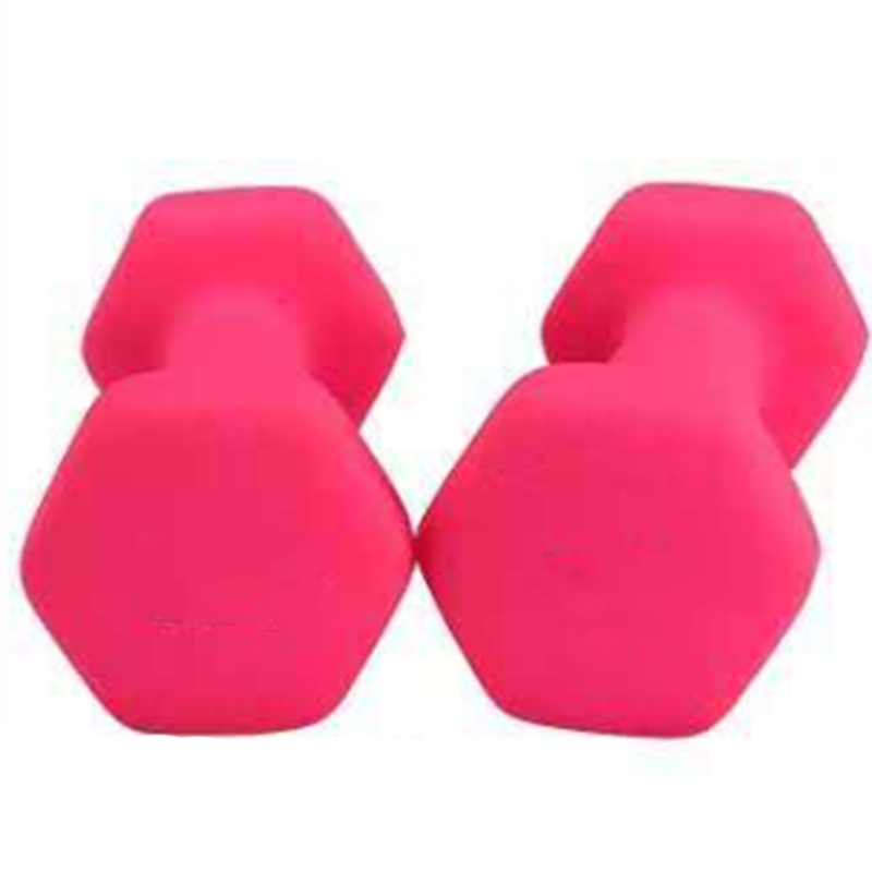 

New-Hex Dumbbell Suitable for Children Ladies Dumbbell Matte Cast Iron Dipped Gym Yoga, Pink
