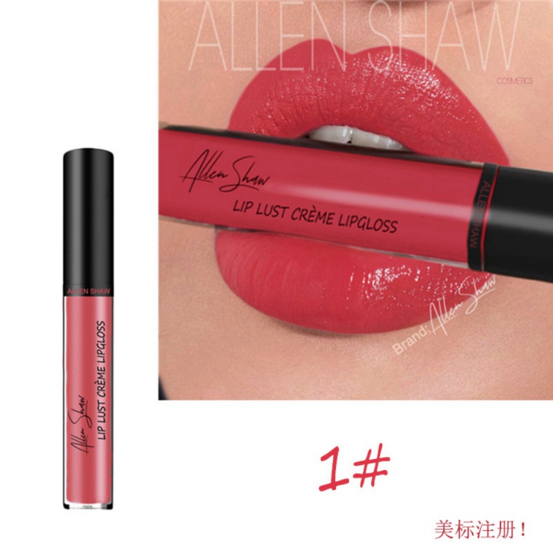 

12 Colors Makeup Long Lasting Lipstick Creamy Texture Moisturizing Lip Gloss Soft Matte Lip Cream Easy To Wear H M