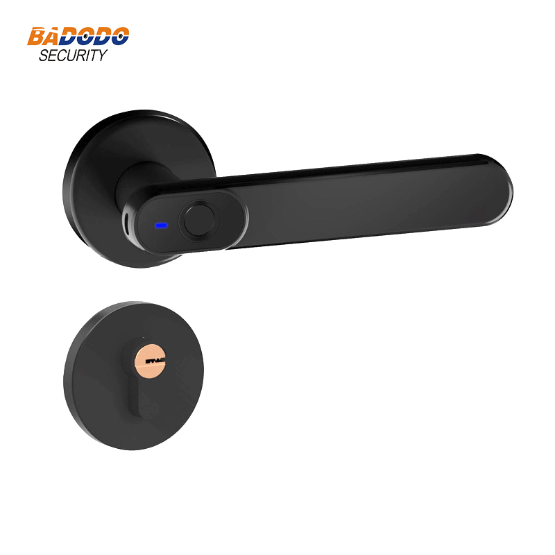 

Zinc alloy 20 users Smart Fingerprint Lock Electric biometric Lock with mechanical key for indoor home wooden metal door