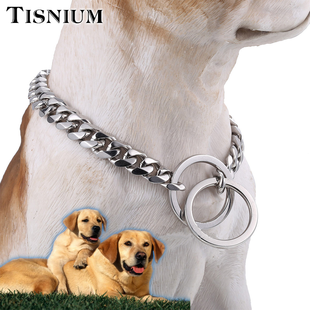 cuban link dog choker