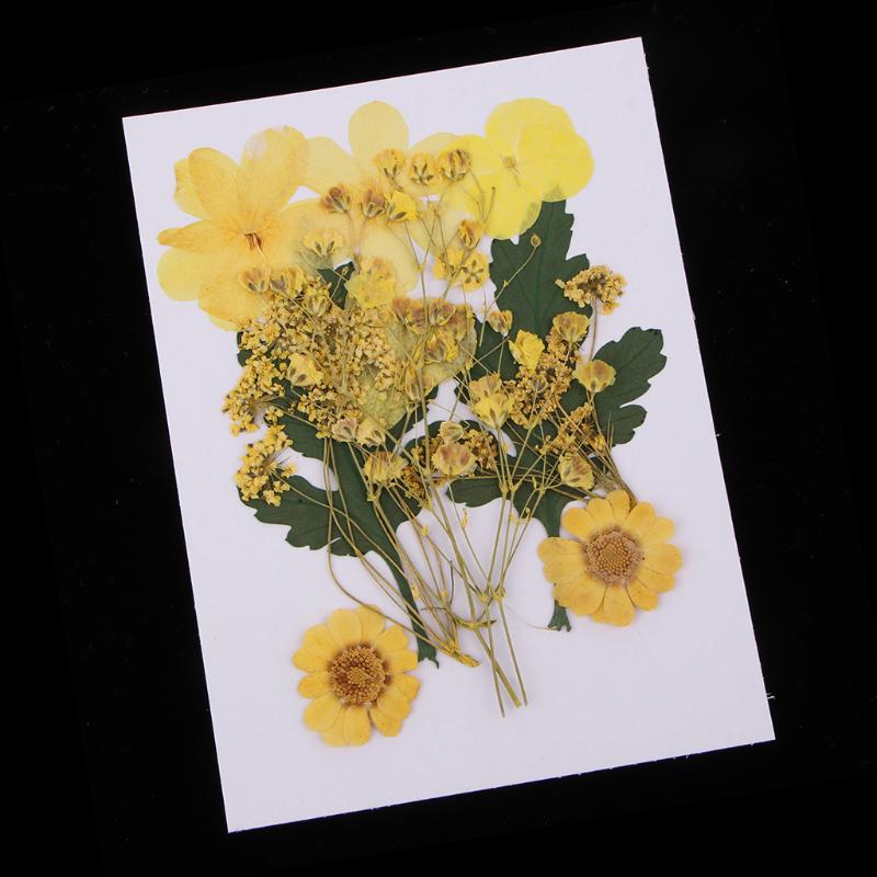 

1 Bag Natural Press Leaves Pressed Real Dried Flowers Dry Leaves for DIY Scrapbooking Arts Crafts Bookmark Card Making Materials, As pic