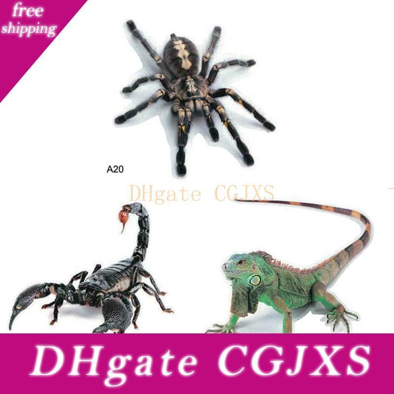 bulk spiders