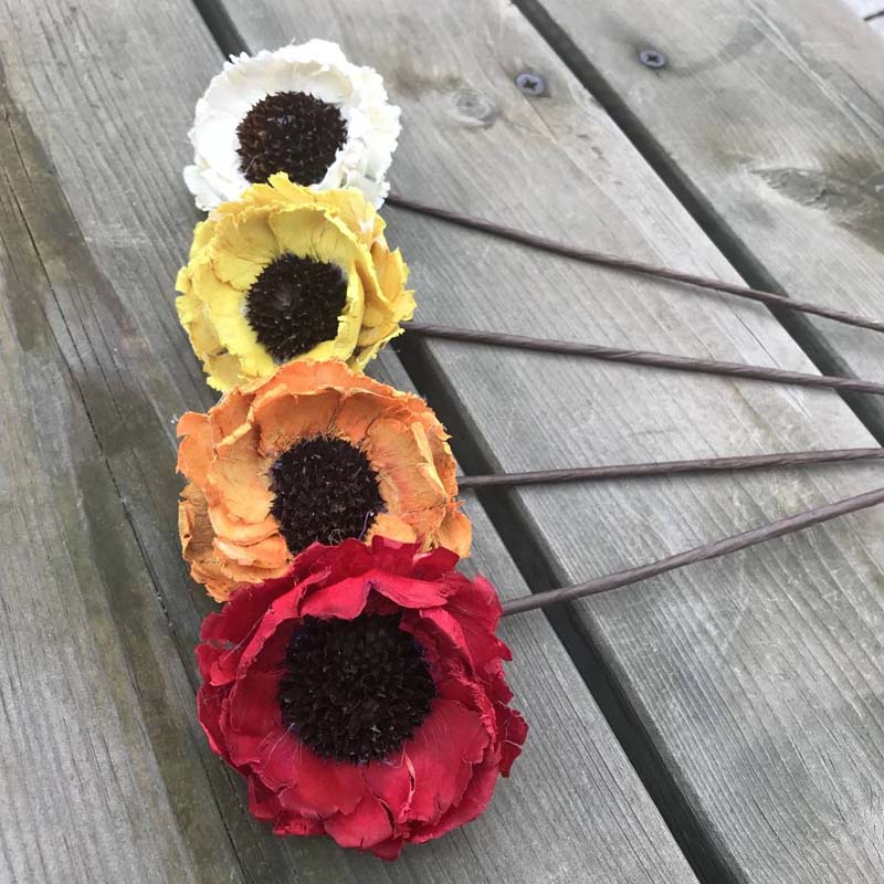 

6CM Head Real Natural Dried Flowers Artificial Corn Poppy Flower,Decorative Eternelle Roses Forever Sunflower With Wire Stem, White
