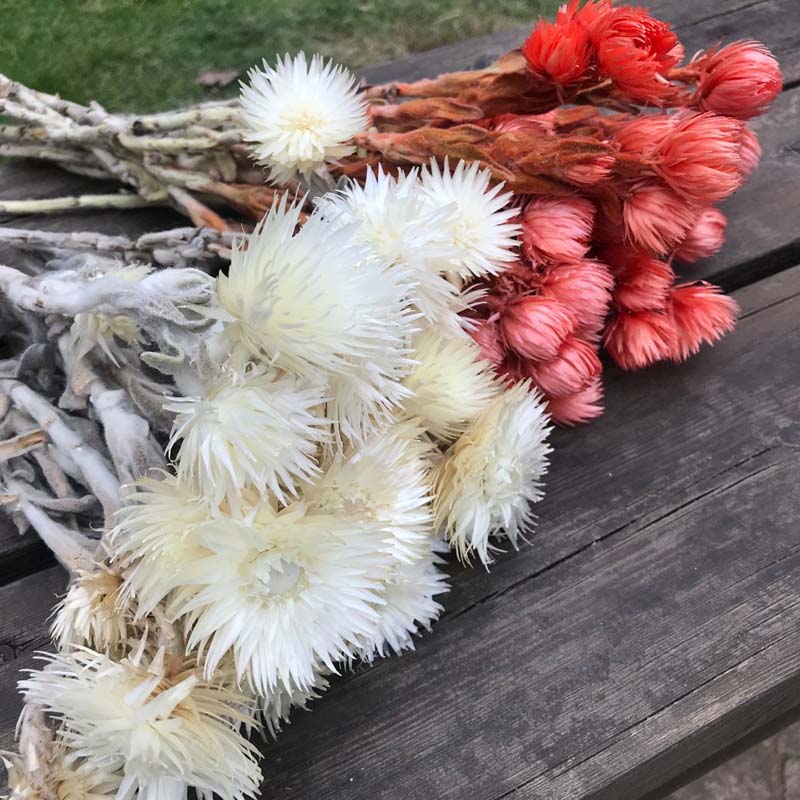 

30- 40g Real Natural Dried Flowers NASTURTIUMS Bouquet,Decorative Anemone Drynaria Dry Flowers Eternelle Roses For Home Decor, 03