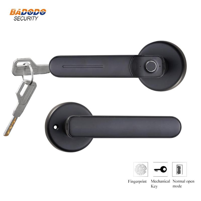 

Smart Fingerprint Lock Electric fingerprint Door Lock with mechanical key for indoor home used