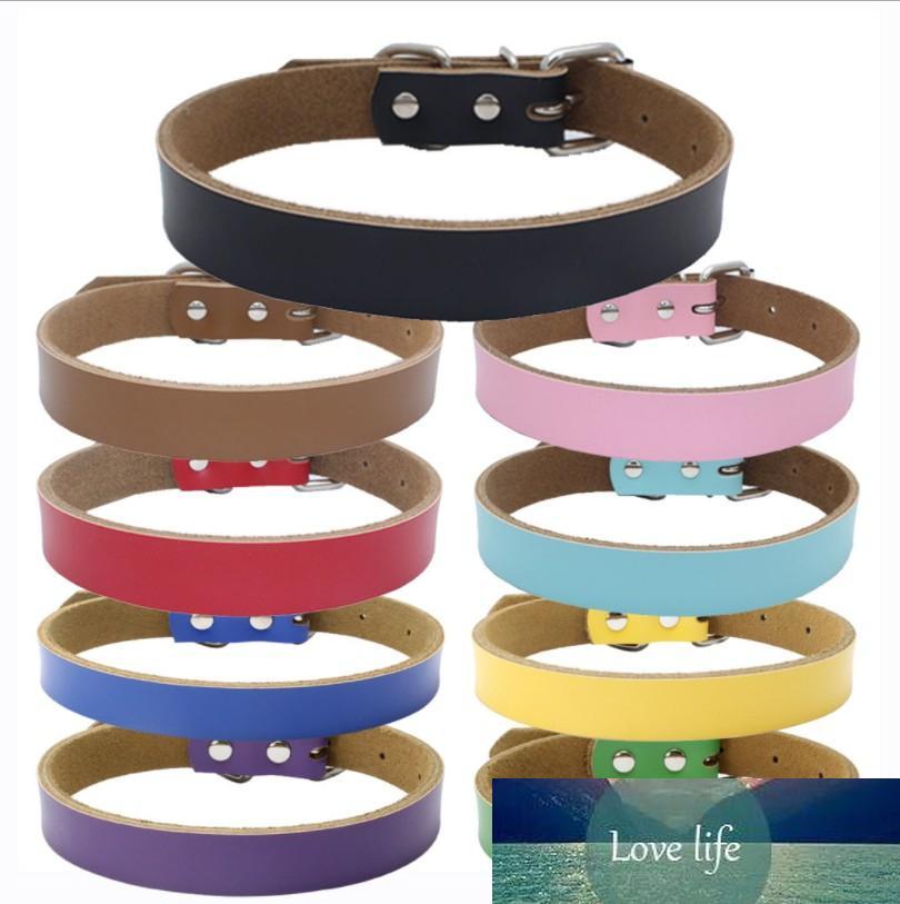 bulk puppy collars