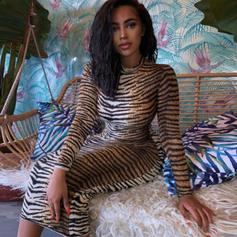 

Womens Leopard Print Dress Womens Sexy Printed Slim Dress 2020 New Designer Casual Autumn Dresses Ladys Party Style Active New Clothes, Color1