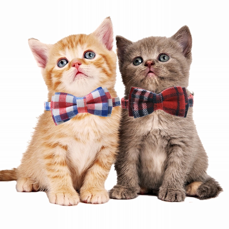 

Lattice Pet Cat Collar Cute Bow Tie With Silver Bell Cat Puppy Collars For Small Kitten Collar Pet 2020 Fashion Tools#15