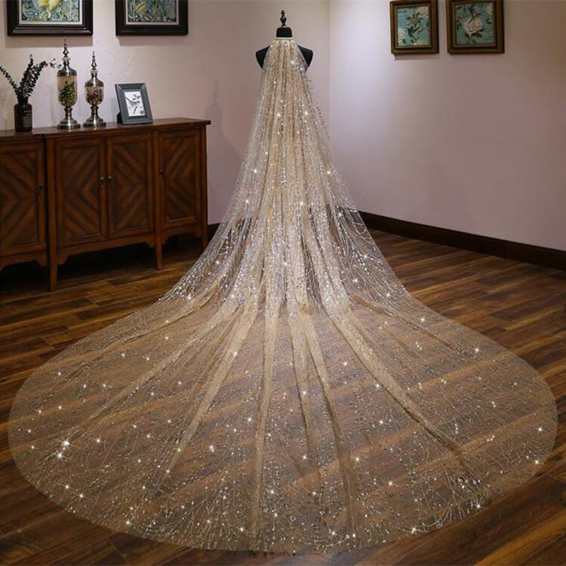 

Champagne Gold Bridal Veils Trailing Wedding Headdress One Layer Regal Length Lace Trimmed 3M Long Bridal Accessories Wedding Veils