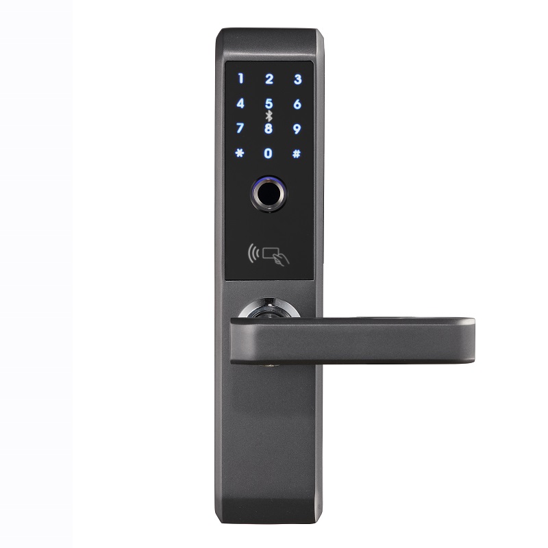 

LACHCO 2020 Biometric Fingerprint Electronic Smart Door Lock, Code, Card,Touch Screen Digital Password Lock Key for home Ak18A3F