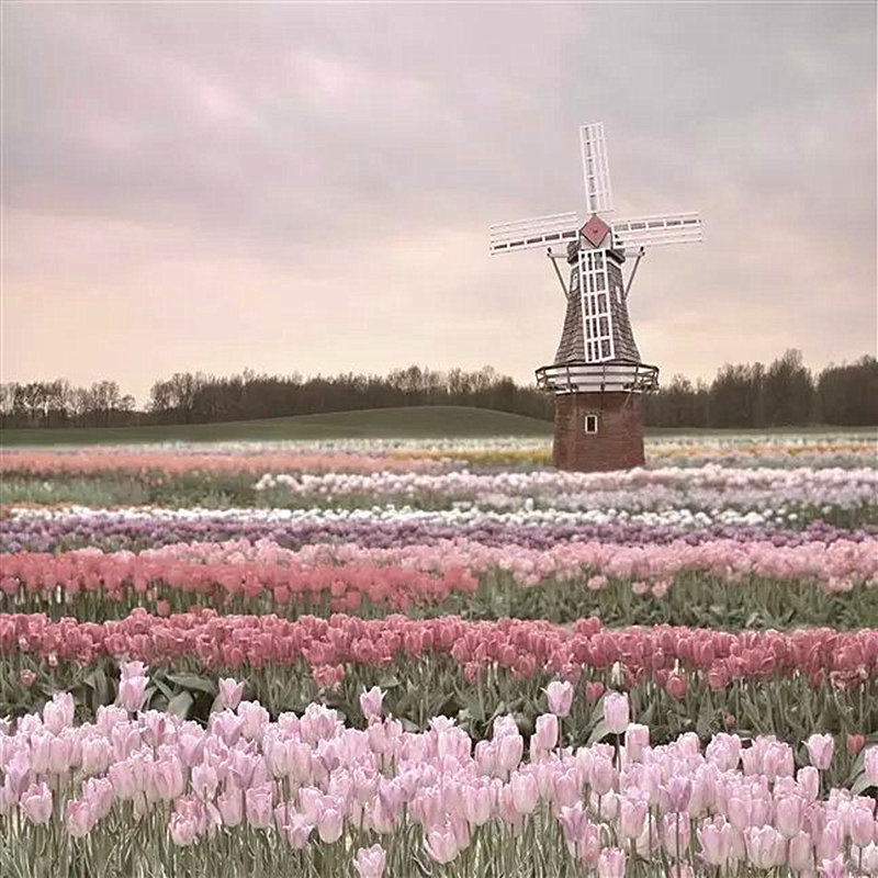 

3D stereo windmill wallpaper living room large fresco wall WH-Mural, Wh1806