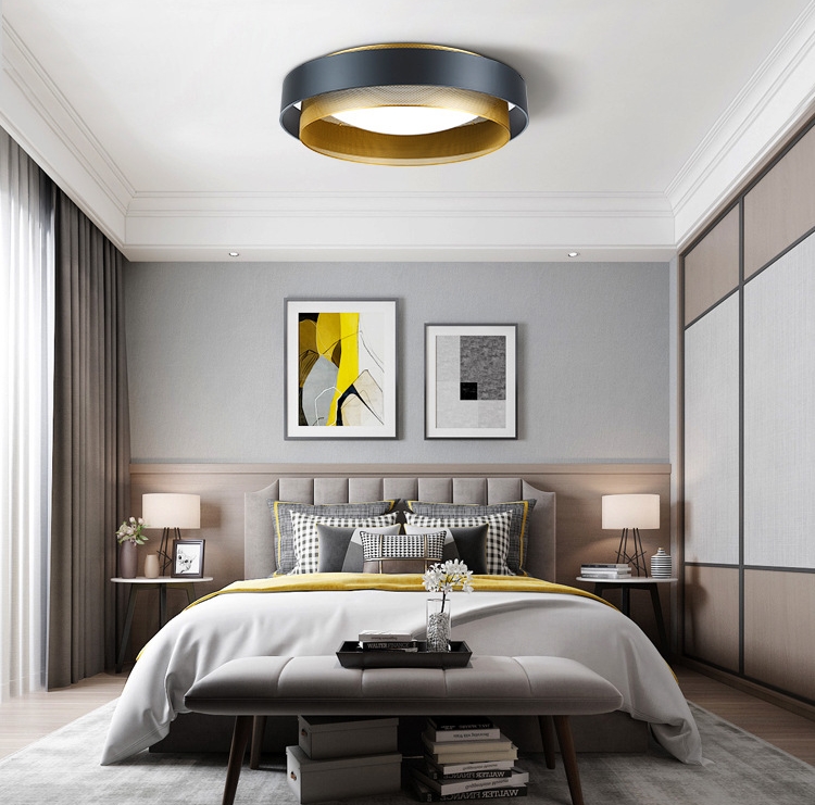 

Nordic minimalist ceiling lamp designer living room bedroom net red ceiling lights light luxury study personality creative led ceiling lamp