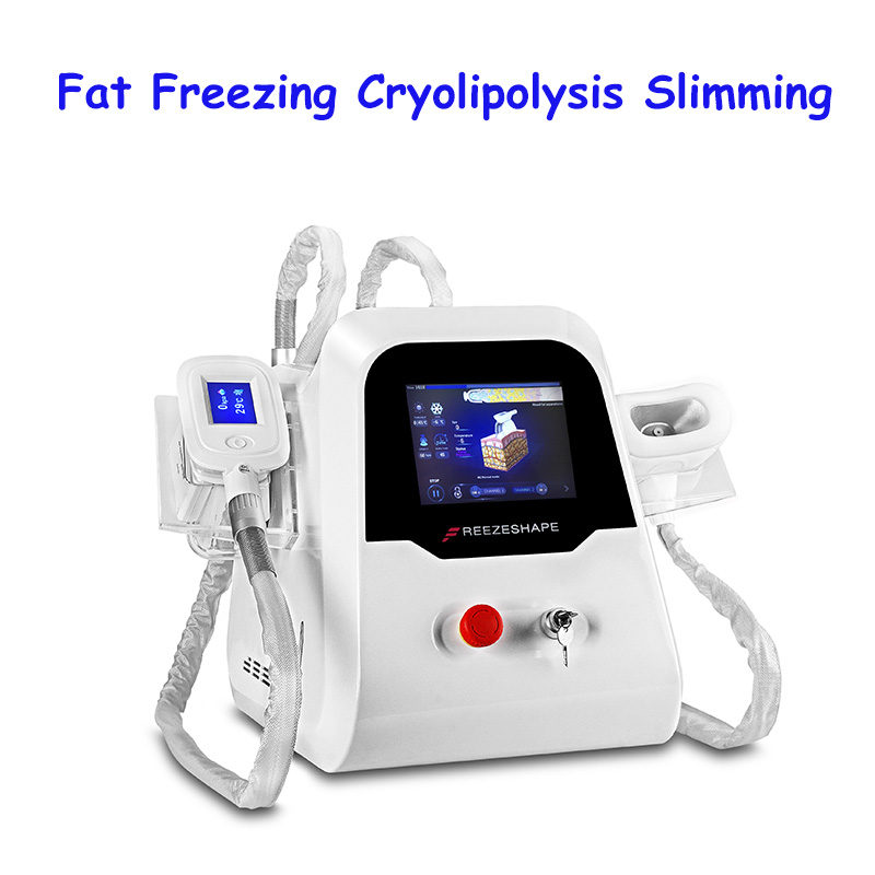 

Double Cryolipolysis Fat Freeze Cryolipolyse Spa Use Body and Chin Shaping Machine Criolipolisis For Fat Reduction