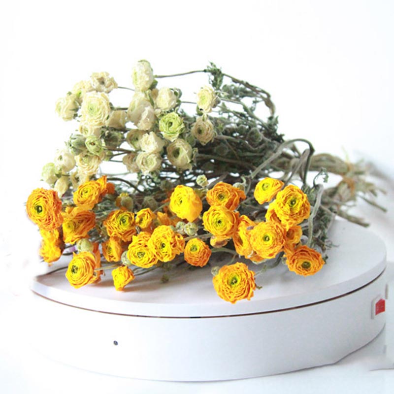 

High Quality Beautiful Nordic Style Ranunculus Asiaticus Dried Flower DIY Home Table Garden Wedding Party Decoration LC, Orange