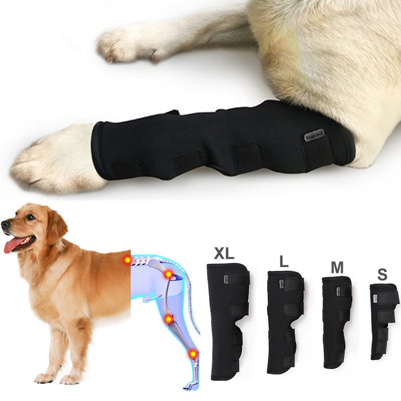 

2Pcs/lot Pet Knee Pads Dog Support Brace for Leg Hock Joint Wrap Breathable Injury Recover Legs Dog Protector Support, As pic