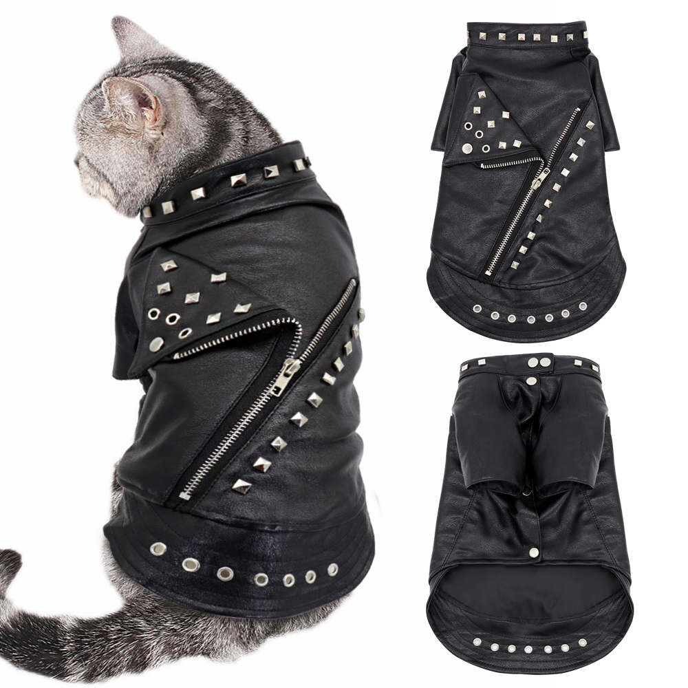 small dog leather jacket