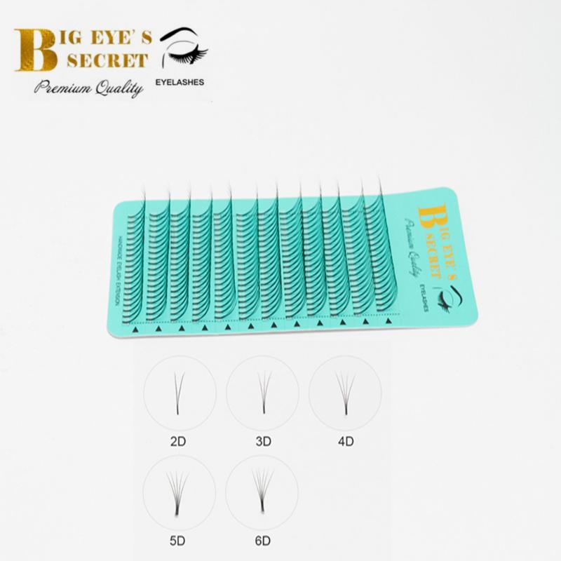 

BIG EYE'S SECRET Beauty Makeup Individual Lashes 2D-6D Premade Fans Long Stem 100% Handmade Eyelashes Extension Supplies Can OEM