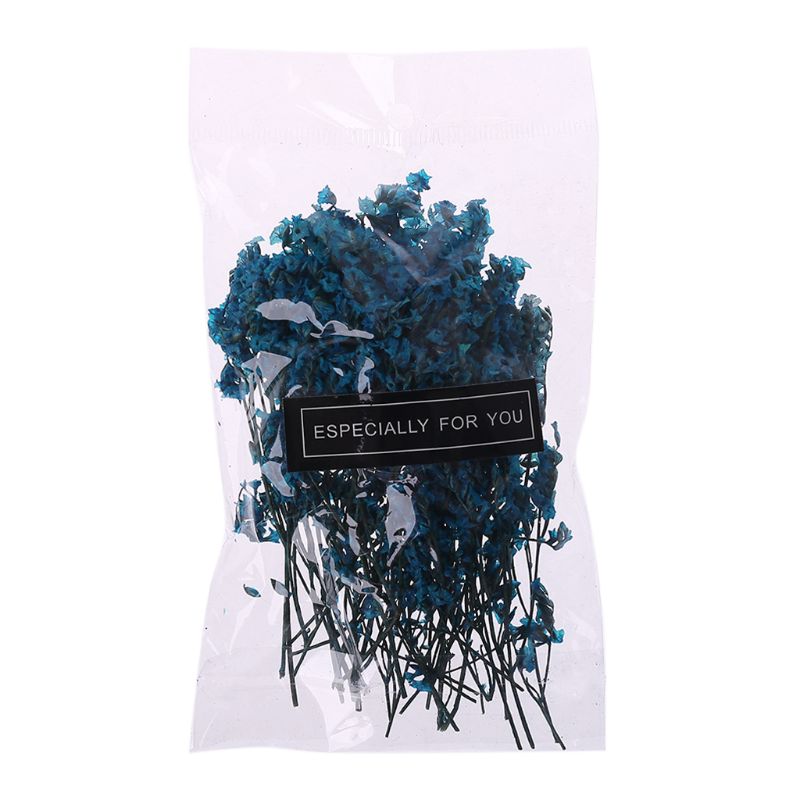 

1 Bag Real Pressed Dried Flowers Floral Plants Embellishments For DIY Scrapbooking Card Making Art Craft Decoration, -bl