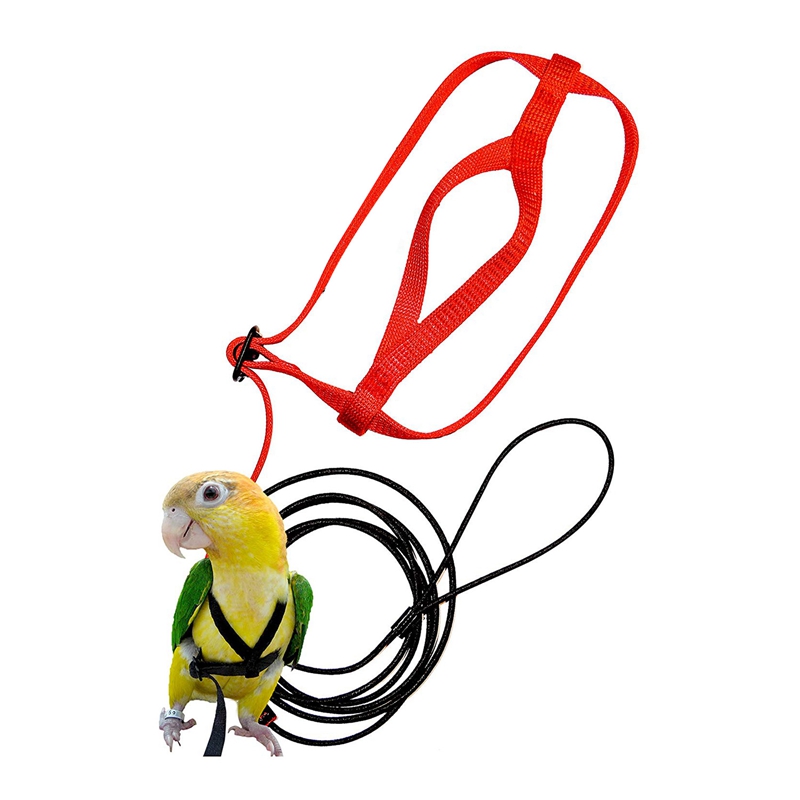 

Pet Bird Harness and Leash,Adjustable Parrot Bird Harness Leash - Pet Anti-Bite Training Rope Outdoor Flying and Leash(X