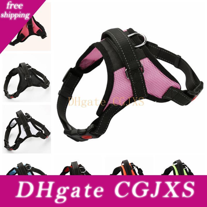 wholesale dog leads