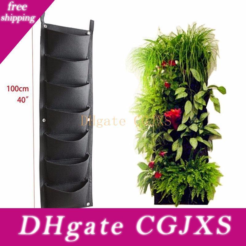 Hangende Pflanzen Samen Online Grosshandel Vertriebspartner Hangende Pflanzen Samen Online Fa R Verkauf Auf De Dhgate Com