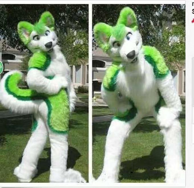 

2019 Discount factory sale Green husky Fursuit Dog Fox Mascot Costume Animal Suit Halloween Christmas Birthday Full Body Props Costumes Outf, As pic