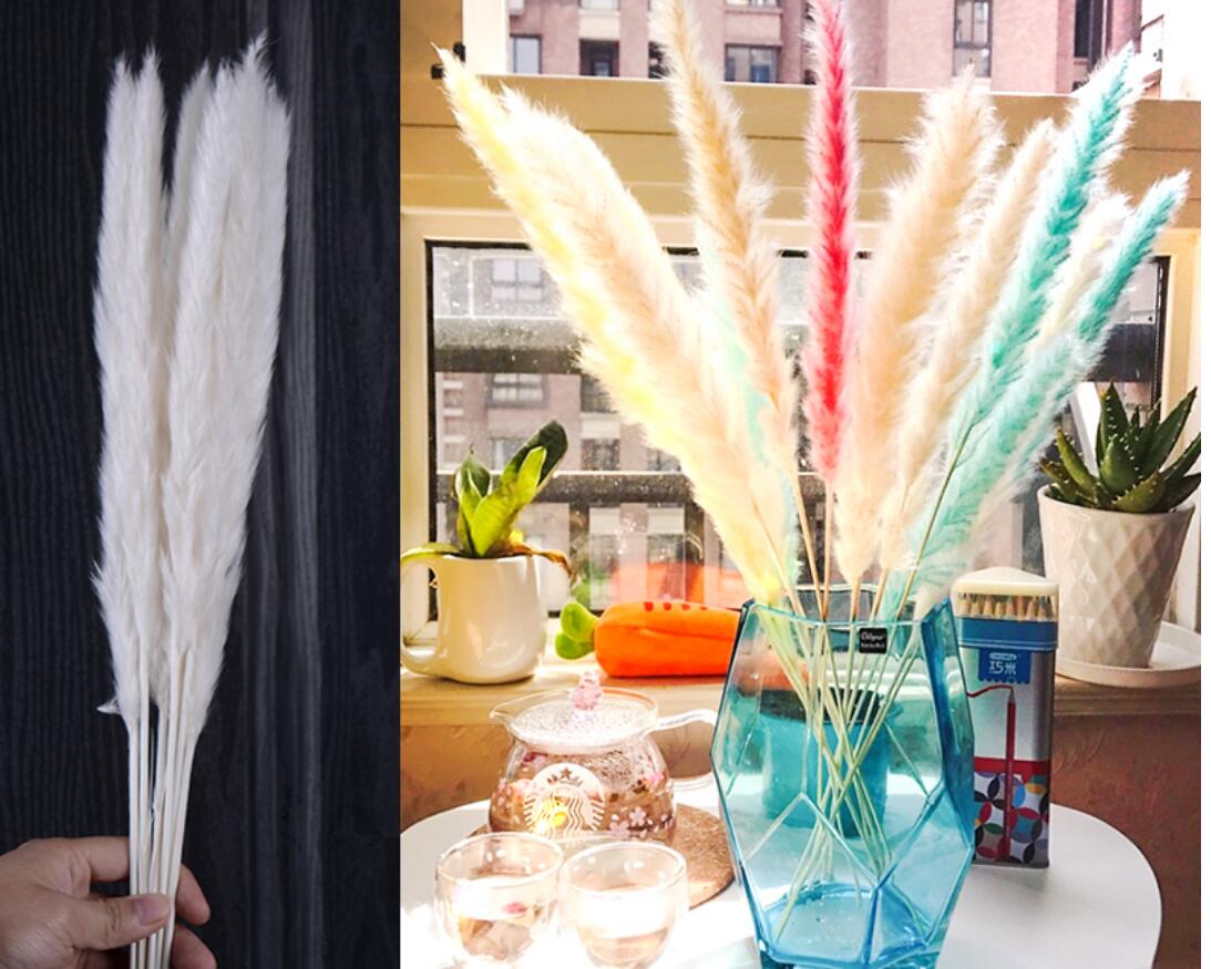 

30 pcs. Bulrush Natural Dried Flowers Small Phragmits Grass DIY Artificial Flowers Home Wedding Decoration, Pink