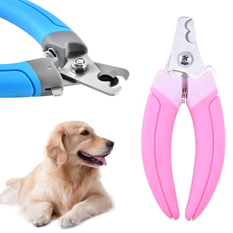 pet grooming supplies for sale