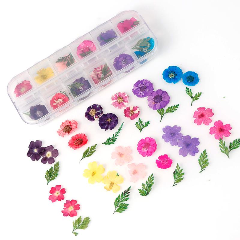 

1Box Natural Dried Flower Real Plants For Resin Silicone Mold Filling Diy Home Decor Nail Art&phone Case, Gypsophila