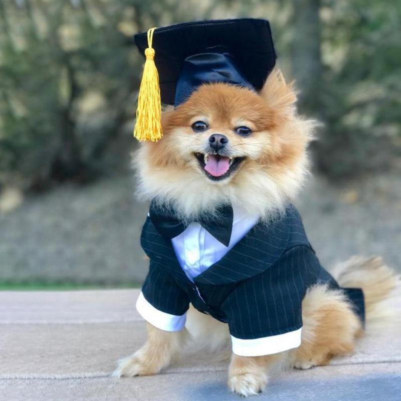

Puppy Dog Dr. Hat Decoration Dog Custom Graduation Cap Degree Headgear For DIY Pet Creative Party Accessories, Black