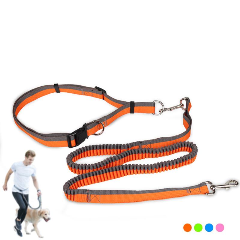 

Hands Free Dog Leash Designer Pink Dog Leash With Waistband Walking Lead Bungee Elastic Chihuahua Supplies