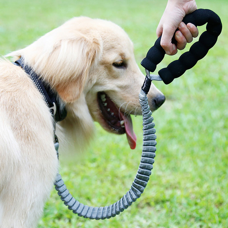 

Elastic Pet Dog Leash Nylon Reflective Cushioning Explosion-proof Buffering Bungee Lead Rope Walking anti Training Leash