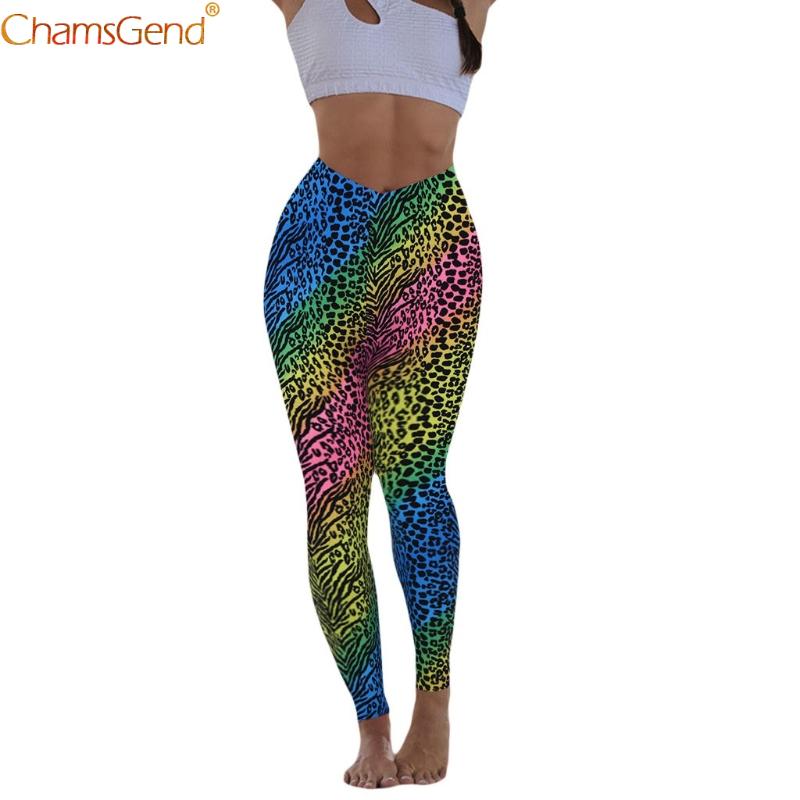 leopard workout pants