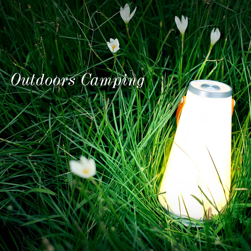 

USB Rechargeable Portable Atmospheres Light LED Touches Switch Dimmable Bedroom Table Lamp L5 #4