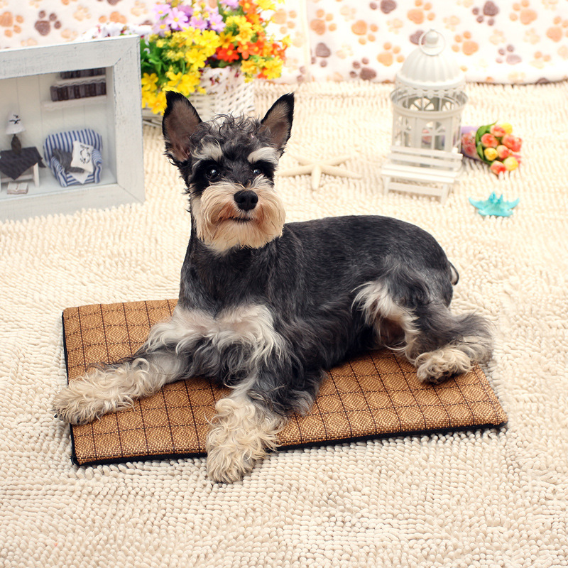 

Dog Mat Cooling Summer Pad Mat For Dogs Blanket Sofa Medium Bed Dog For Removable Pet Breathable Washable Small, 02