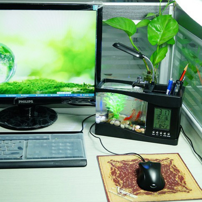 pen holder and time display table lamp
